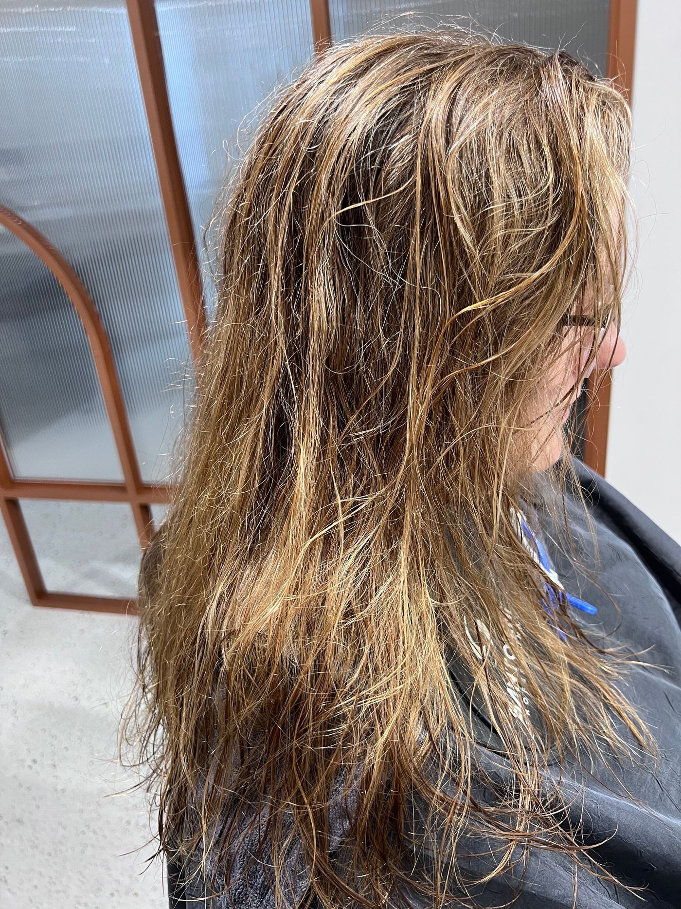 Frizzy hair before BR Soul Botox smoothing treatment