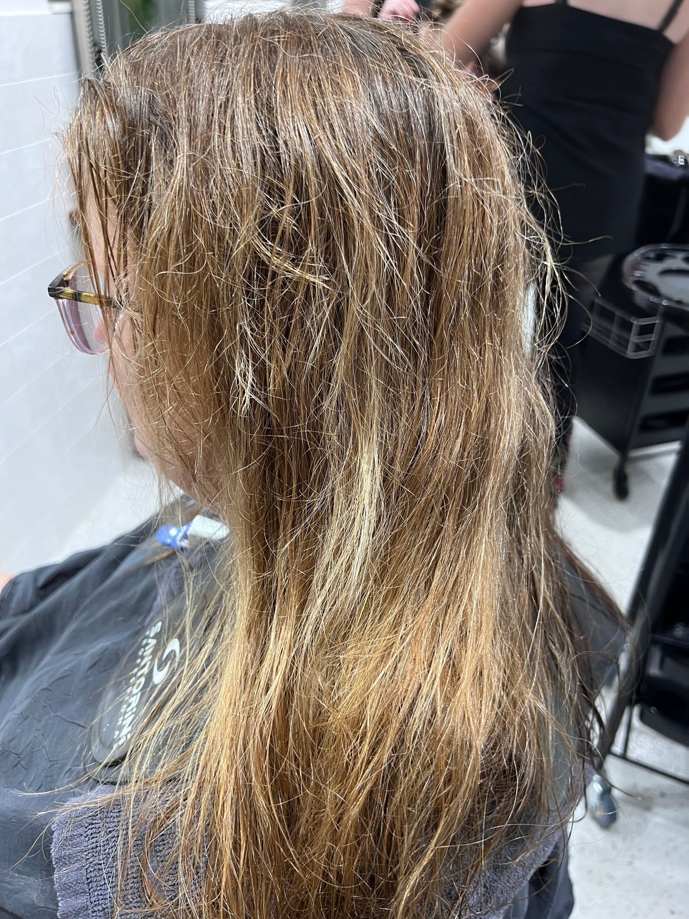 Frizzy hair before BR Soul Botox smoothing treatment, second angle