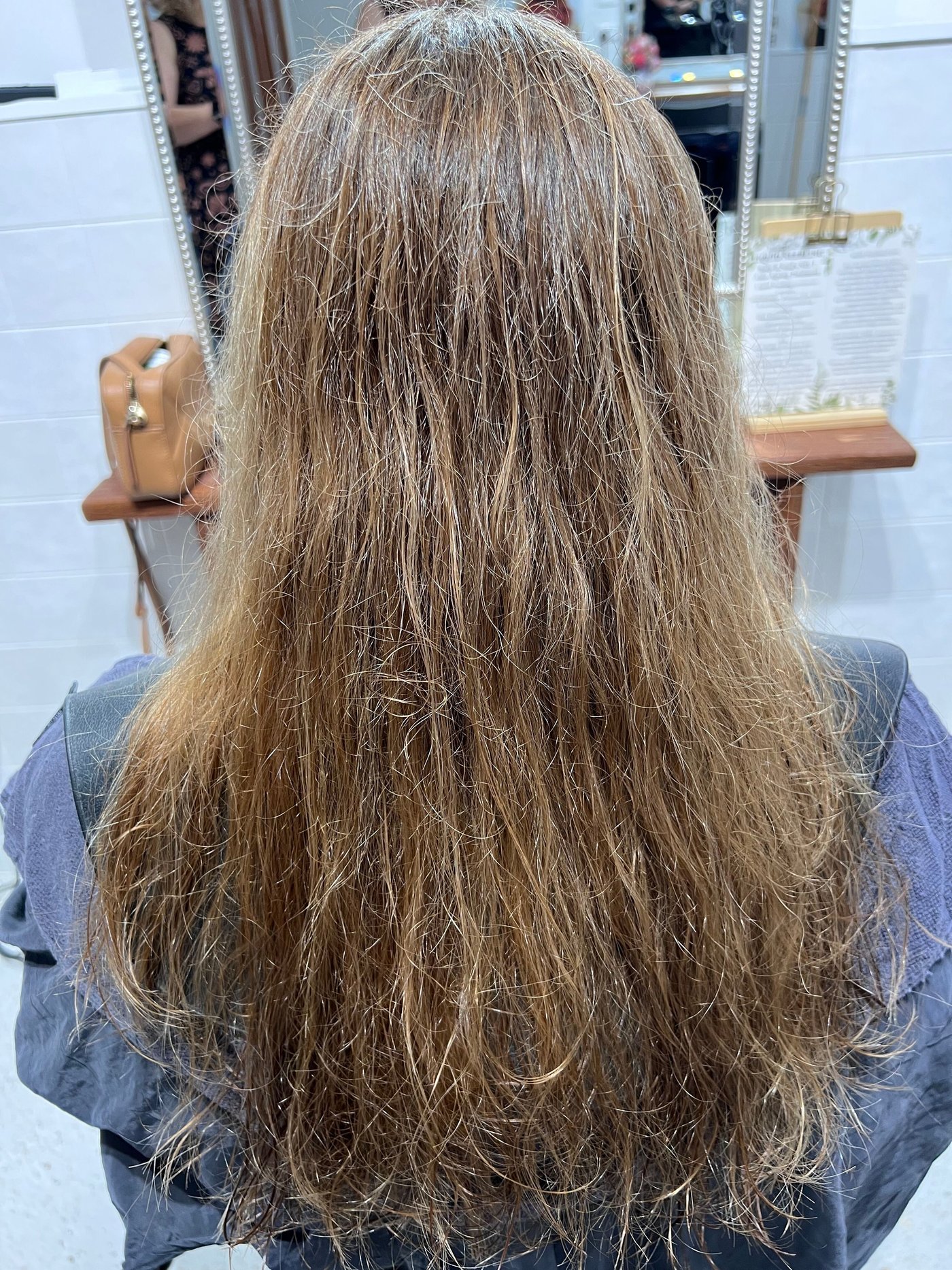 Frizzy hair before BR Soul Botox smoothing treatment, third angle