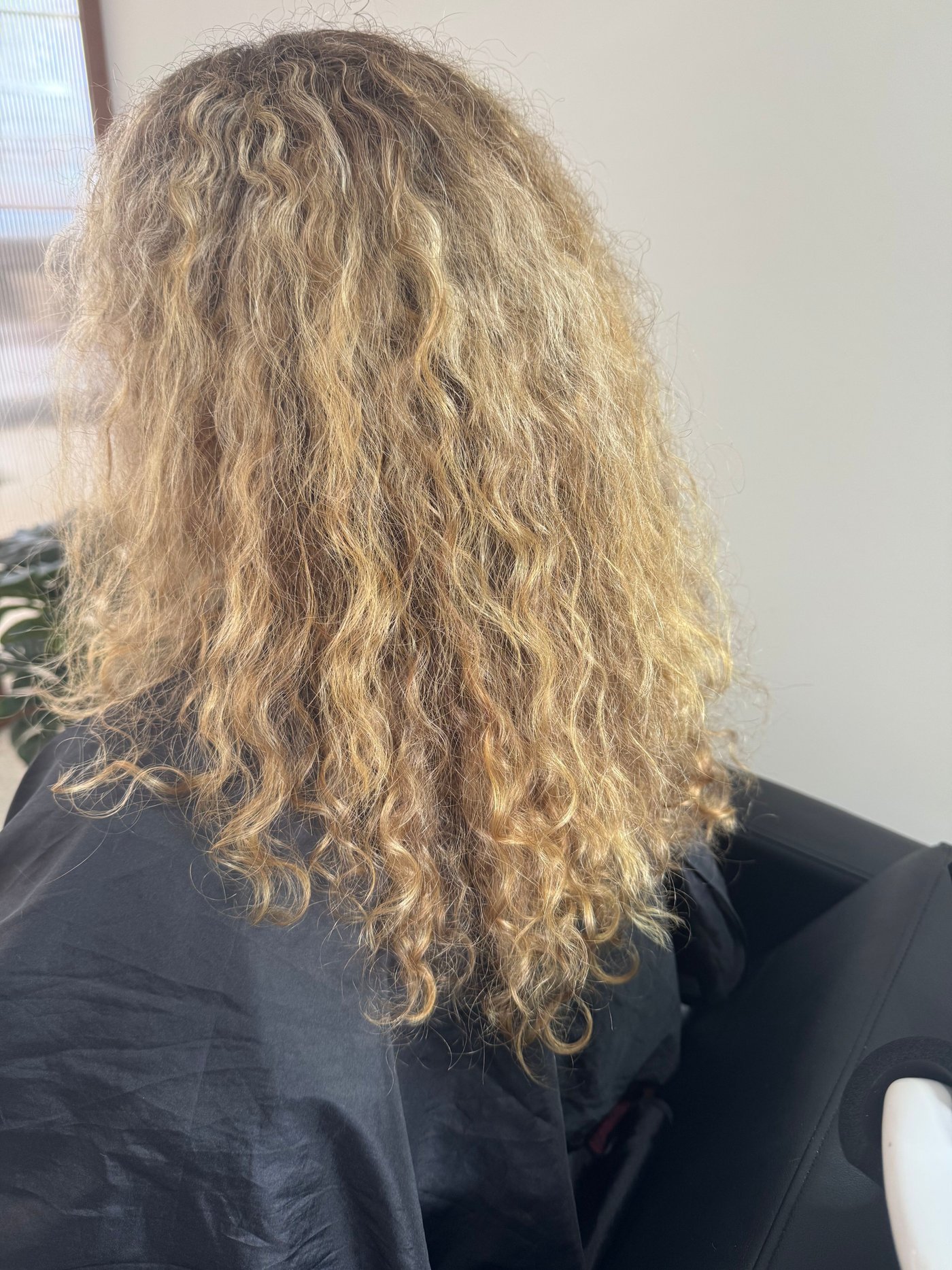 Frizzy curly hair before BR Soul Botox hyaluronic treatment, second angle