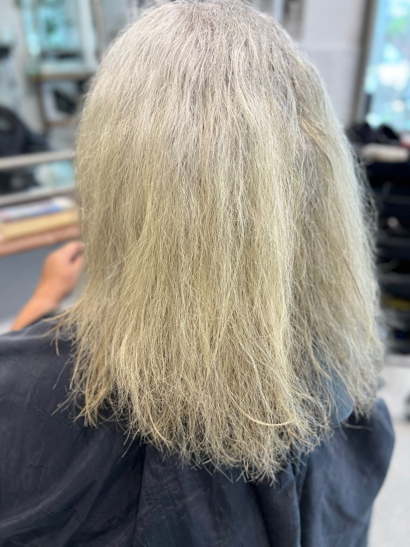 Dry, frizzy hair before BR Soul hyaluronic smoothing treatment, second angle