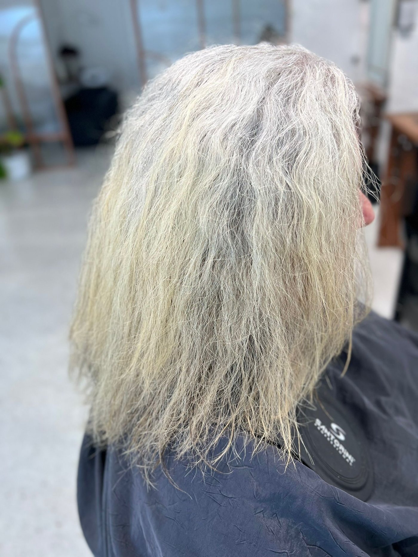 Dry, frizzy hair before BR Soul hyaluronic smoothing treatment, third angle